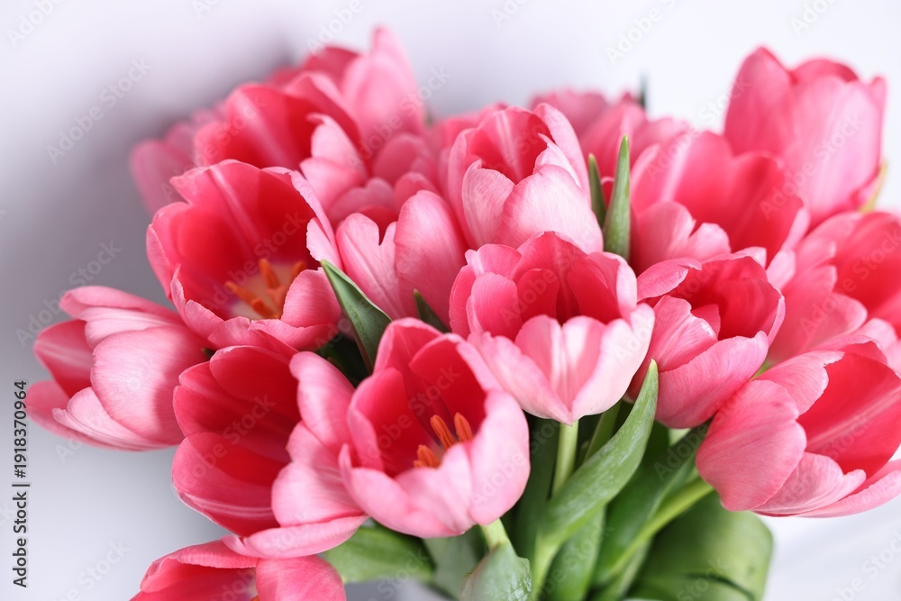 Fototapeta premium Bouquet of pink tulips on blurred grey background, closeup