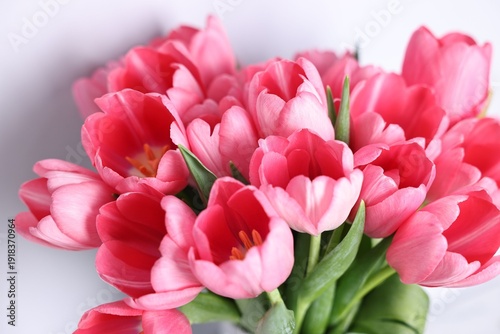 Bouquet of pink tulips on blurred grey background, closeup