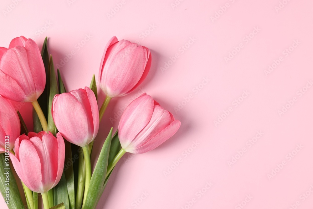 Obraz premium Bouquet of tulips on pink background, top view