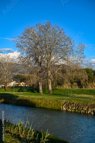 viale lungo fiume 