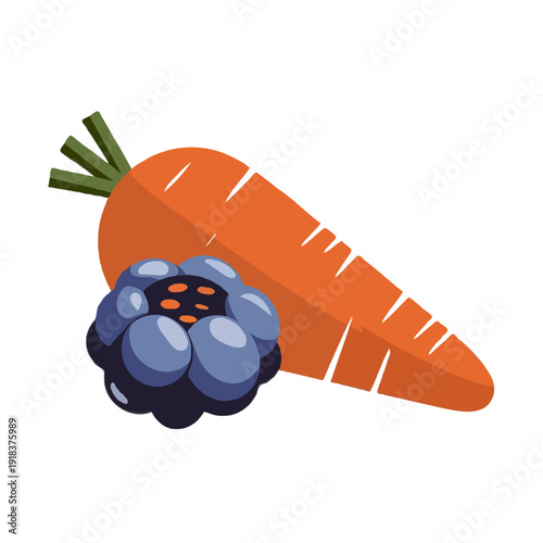 A vibrant illustration of a blueberry resting atop a freshly harvested carrot. isolated on white background, Vector, illustration