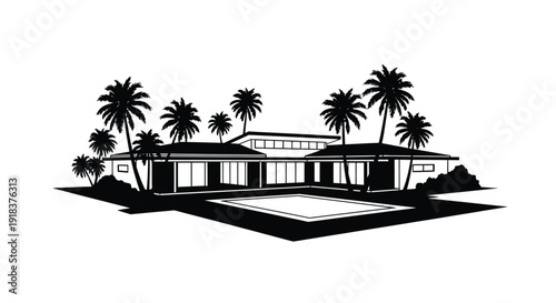 Modern house with a swimming pool surrounded by palm trees