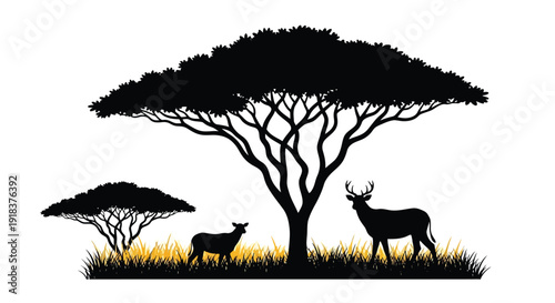 Silhouette of acacia trees deer and grazing animals in a grassland