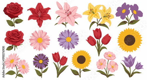 Large Collection of Various Colorful Garden Flowers and Blooms