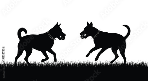 Two dogs running in grass