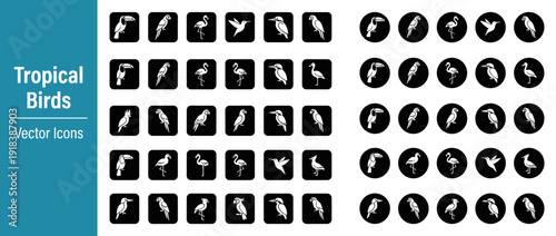 Tropical Bird Vector Icon Set Featuring 32 Unique Species Silhouettes including Toucan, Parrot, Flamingo, Hummingbird, Kingfisher, and Cockatoo in Flat Design for Infographics and Web Graphics.