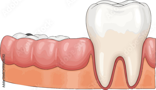 whisk_sv32jr_via_RJ_Whisk_Auto