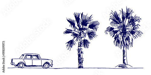 Hand Drawn Palm Tree and Car Travel Vector Illustration for Summer Vacation