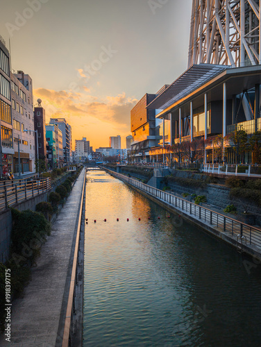 Photography Tokyo city skyline and buildings at sunset along the Kitajukken River in Japan