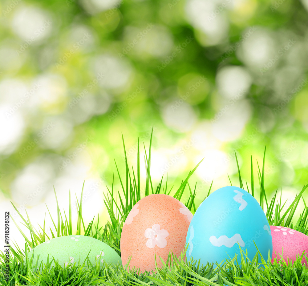 Fototapeta premium Easter eggs in green grass against blurred background