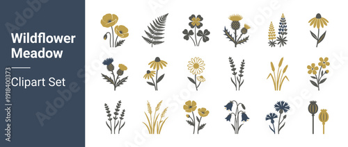 Wildflower Meadow Botanical Clipart Set with 20 Flat Design Elements including Poppy, Fern, Clover, Thistle, Lupine, Daisy, Lavender, Wheat, and Bellflower in Elegant Gold and Grey Monochrome Style.