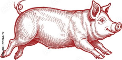 Detailed red sketch of a joyful pig leaping forward with a curly tail. Vector illustration
