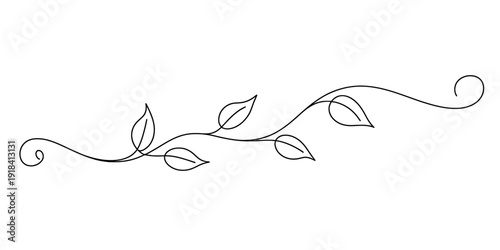 A simple black line drawing of a small vine with leaves and decorative curls on a white background Vector, illustration