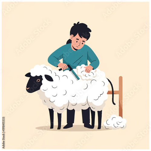 Woman Shearing Sheep with Clippers.