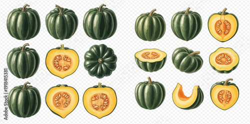 Collection of fresh green acorn squash whole and sliced, showcasing the vibrant orange flesh and seeds, isolated on a white background.