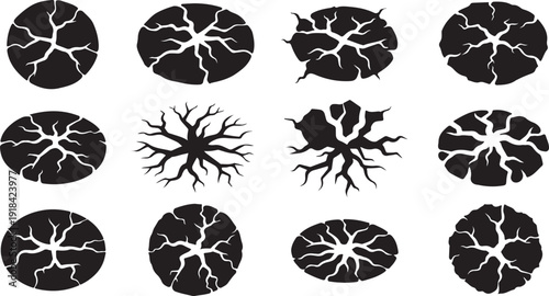Collection of black and white vascular network illustrations