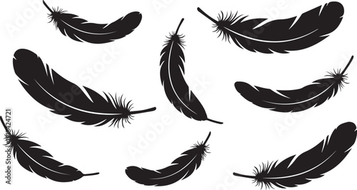 Collection of black feathers on white background illustration