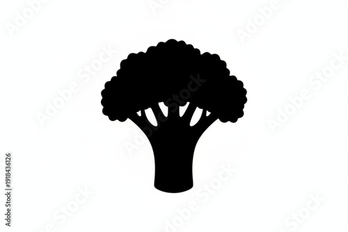 Silhouetted Tree: An elegant silhouette of a tree, its branches reaching skyward. The image is a striking contrast against a soft background. 