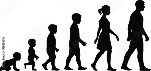 Silhouette illustration showing human growth stages from crawling baby to adult man and woman walking, symbolizing life cycle, aging process and development progression concept