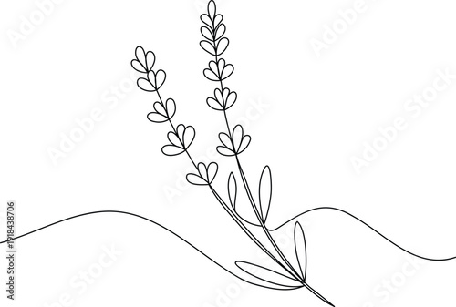 One line drawing of lavender plant