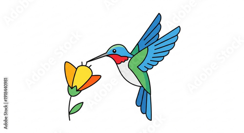 Hummingbird feeding on yellow flower colorful bird in flight nature scene