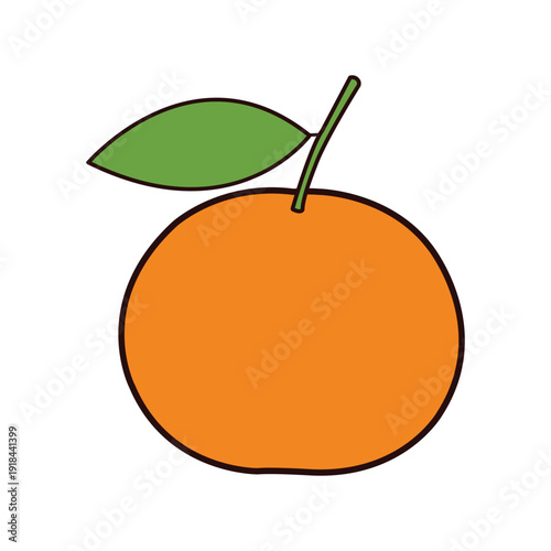 vector illustration of an orange fruit