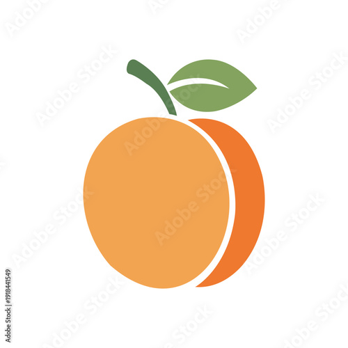 vector orange fruit isolated on white
