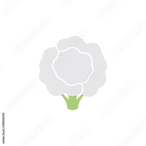vector cauliflower isolated on white background