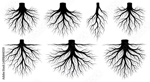 Tree Roots Silhouette Collection