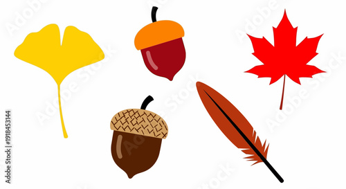 Assorted autumn leaves, acorns, and feathers arranged in a flat lay composition on a clean background from a direct overhead viewpoint.