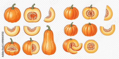 Set of fresh orange pumpkins and butternut squash, whole and sliced, with seeds, isolated on transparent background.