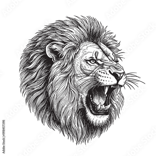 Foto Vintage engraving illustration of a roaring lion head, highly detailed etching
