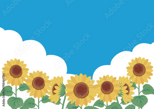 Panorama Background of Sunflowers, Blue Sky, and Clouds. Image Board for Nature, Tourism, and Festivals