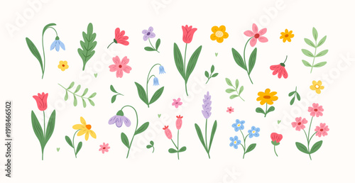 Doodle set of spring and summer flowers with petals and branches