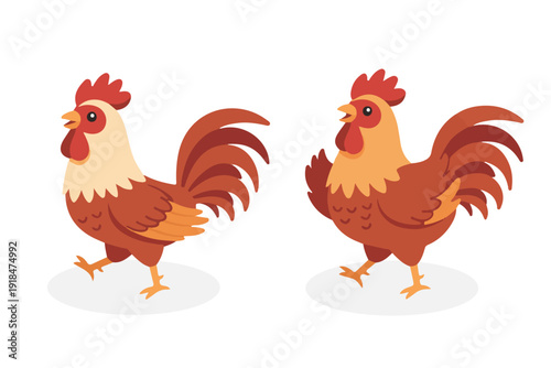 Funny walking rooster and chicken character set in cute flat style for farm theme illustration
