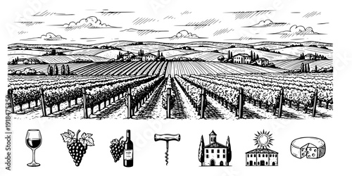 Hand draw vineyard tuscany landscape farm field in monochrome sketch style. Vintage panoramic vector illustration.
