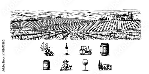 Hand draw vineyard tuscany landscape farm field in monochrome sketch style. Vintage panoramic vector illustration.
