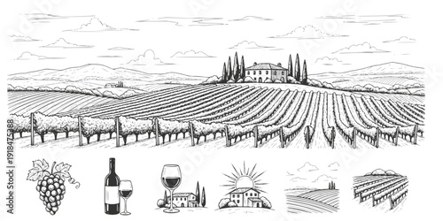 Hand draw vineyard tuscany landscape farm field in monochrome sketch style. Vintage panoramic vector illustration.

