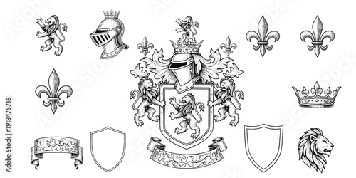 Heraldic Lion. Medieval coat of arms. Lys De Fleur. Crest depicting a lion's flank supporters shield. Knights helmet design. Vintage retro style. Engraving Royalty Emblem. Heraldy King Icon