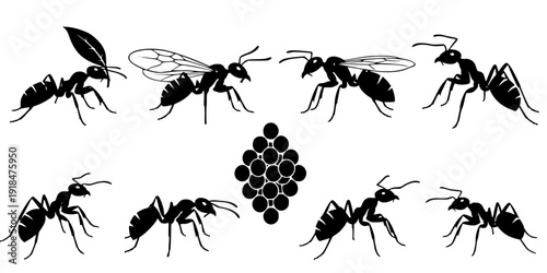 Insect Insects ant ants emmet pismire banner Vector, vector set silhouette
