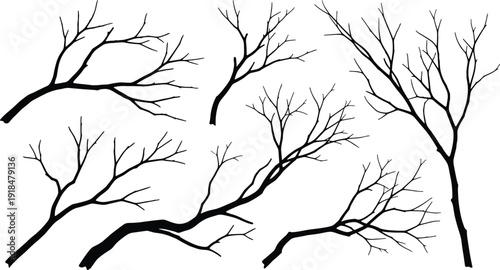 Bare tree branches silhouette set, dry winter forest twigs isolated black vector illustration collection