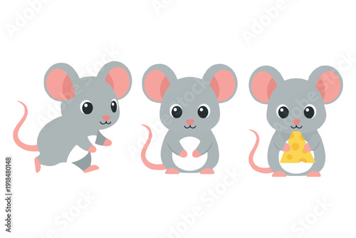 Kawaii little mouse character collection eating cheese in flat vector style for animal mascot