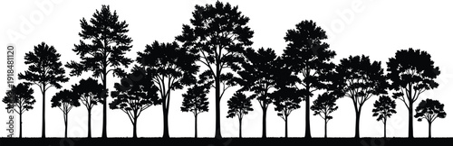 Forest tree silhouette landscape, black woodland nature scene isolated vector illustration collection