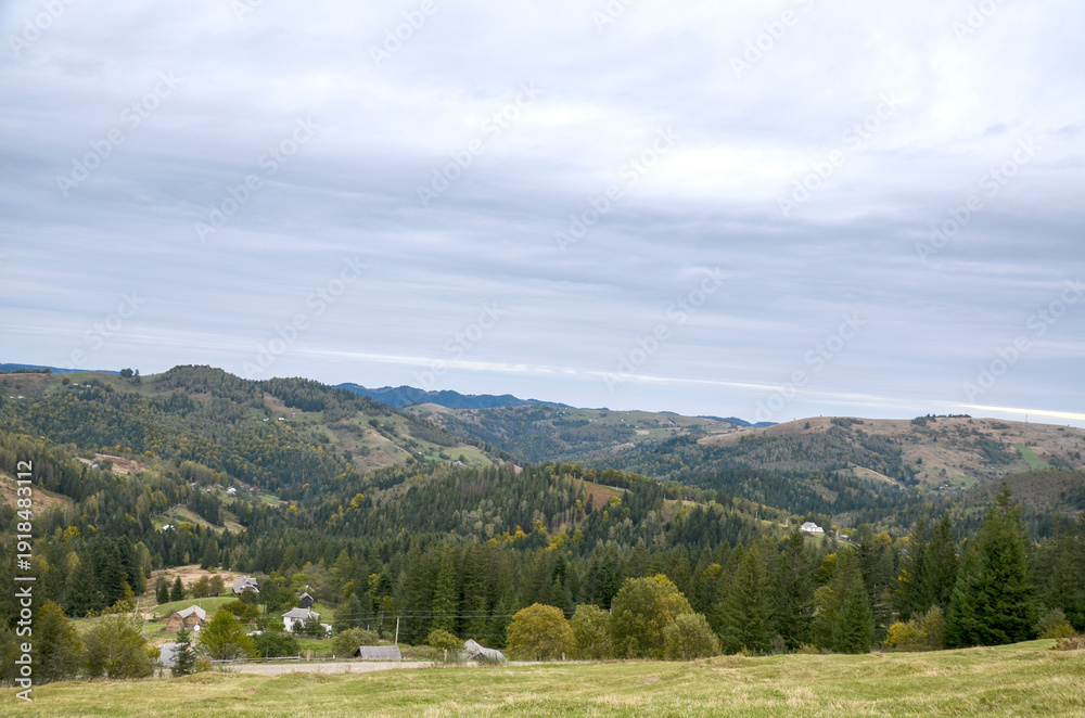 Naklejka premium Peaceful rural scene featuring rolling hills, dense evergreen forests, and scattered houses in valley. Overcast skies create soft light, highlighting the calm countryside beauty. Carpathians, Ukraine