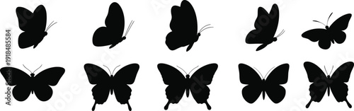 CAD drawing flat vector illustration, butterfly silhouette collection, insect wing design, nature flight concept, black and white artwork, symmetrical species comparison