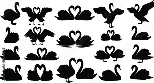 Black swan silhouettes vector illustration set, romantic love bird couples collection for wedding design, valentine decor, nature artwork, and elegant branding