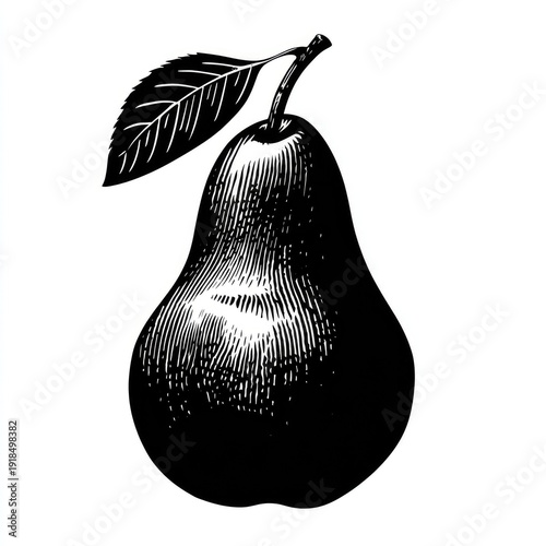 Detailed black and white engraving of a ripe pear with a single leaf