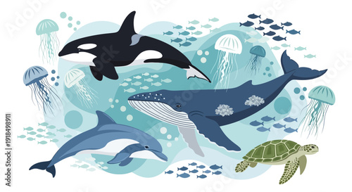 Diverse marine life illustration featuring orca, whale, dolphin, turtle, and jellyfish in an underwater scene