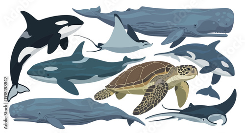 Diverse marine life illustration featuring orca, shark, turtle, and various whales in a digital artwork showcasing ocean creatures from a top-down viewpoint