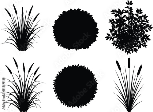 Collection of black silhouettes featuring garden shrubs, lush bushes, and tall bulrush grass plants, isolated on white background, perfect for architectural landscaping and nature designs.